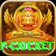 2022 world cup cricket Max Pro v1.7.1