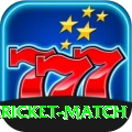 all cricket match Deluxe v3.5.6