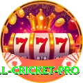 all cricket - Mega Edition v2.0.3
