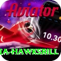 antigua hawksbill Master Pro v2.1.9