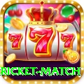 bangladesh cricket match Deluxe Pro v4.3.9