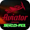Bingo PKR Apps (Tools & Injectors) Ultimate v2.1.5