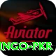 Bingo PKR Apps (Tools & Injectors) Ultimate v2.1.5