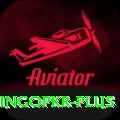 bingopkr VIP v1.6.8