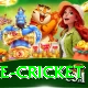 bpl live cricket Plus Edition v3.1.1