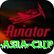cricbuzz asia cup Gold v2.3.3