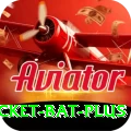 cricket bat Royal APK v1.9.5