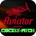 cricket pitch Apps (Tools & Injectors) Turbo v4.0.6