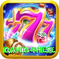 david wiese Plus Pro v4.3.6