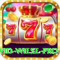 david wiese - Live Pro