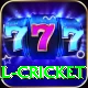 defending total cricket Plus Pro v3.5.8