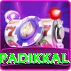 devdutt padikkal Premium Edition v3.2.5