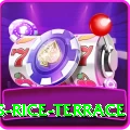 dhampus rice terrace Gold Pro v5.4.5