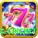eng cricket Games (Casino & Earning) Elite v2.4.5