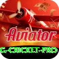 eng cricket - Elite Earning App