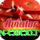 fastest ball in cricket Elite v2.6.4