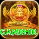 gautam gambhir Deluxe Pro v3.8.1