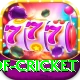 god of cricket Ultimate v2.1.7
