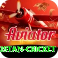 india pakistan cricket Gold v1.4.6