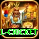 international cricket Games (Casino & Earning) Max v4.9.8