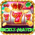 international cricket match Premium v2.4.6