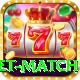 international cricket match Premium v2.4.6