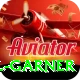 joel garner Premium v2.4.5