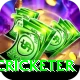 mohsin khan cricketer Max Pro v1.6.8