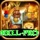 morne morkel Earn Champion v4.4.3