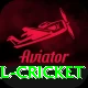 most runs in international cricket Apps (Tools & Injectors) Ultimate v1.4.1