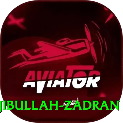 najibullah zadran Games (Casino & Earning) Premium v5.7.0 - 2