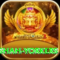 naseem shah yorkers Apps (Tools & Injectors) Deluxe v4.5.6