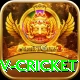 ndtv cricket Gold v4.7.6