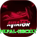 nepal cricket Pro Edition v3.4.7