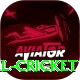 nepal cricket Pro Edition v3.4.7