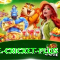 one cricket Gold v3.5.8