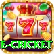 online cricket Premium Edition v3.5.3