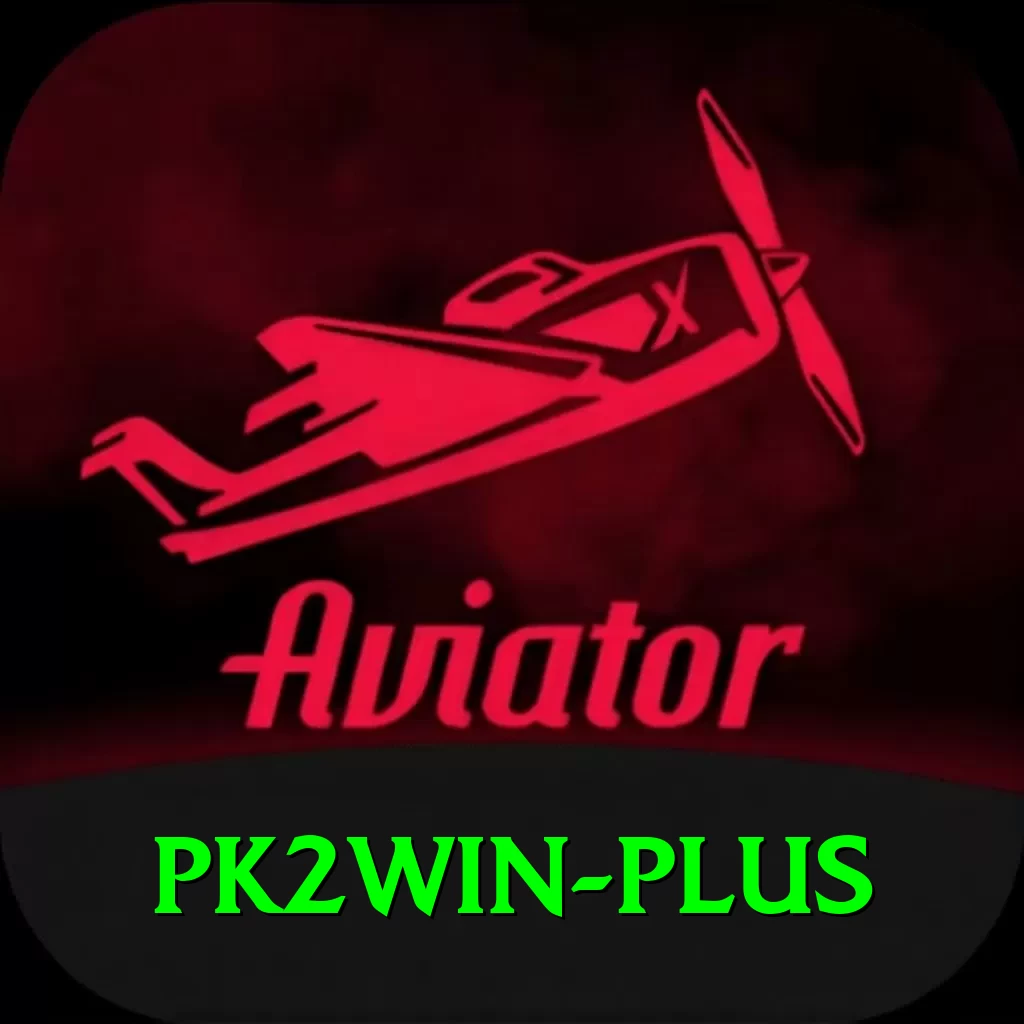 pk2win Deluxe Pro v2.8.8 - 2