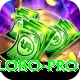 PKLOBO Master Pro v4.9.6