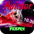 pkspin Gold Pro vv5.0.6