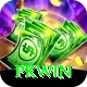 PKWin Gold Edition vv3.8.2