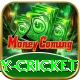play cricket Deluxe Pro v5.6.7