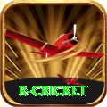 r cricket Deluxe Edition v3.6.3