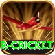 r cricket Deluxe Edition v3.6.3