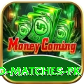 rain affected matches pk Plus Pro v1.1.8