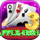 red snapper fish Elite Pro v5.3.0