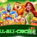 risk free bet cricket Ultimate v4.3.2