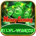 steve waugh Plus Edition v5.0.0