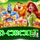 t20 cricket VIP Pro v3.8.3