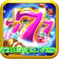 t20 match schedule Live Casino VIP